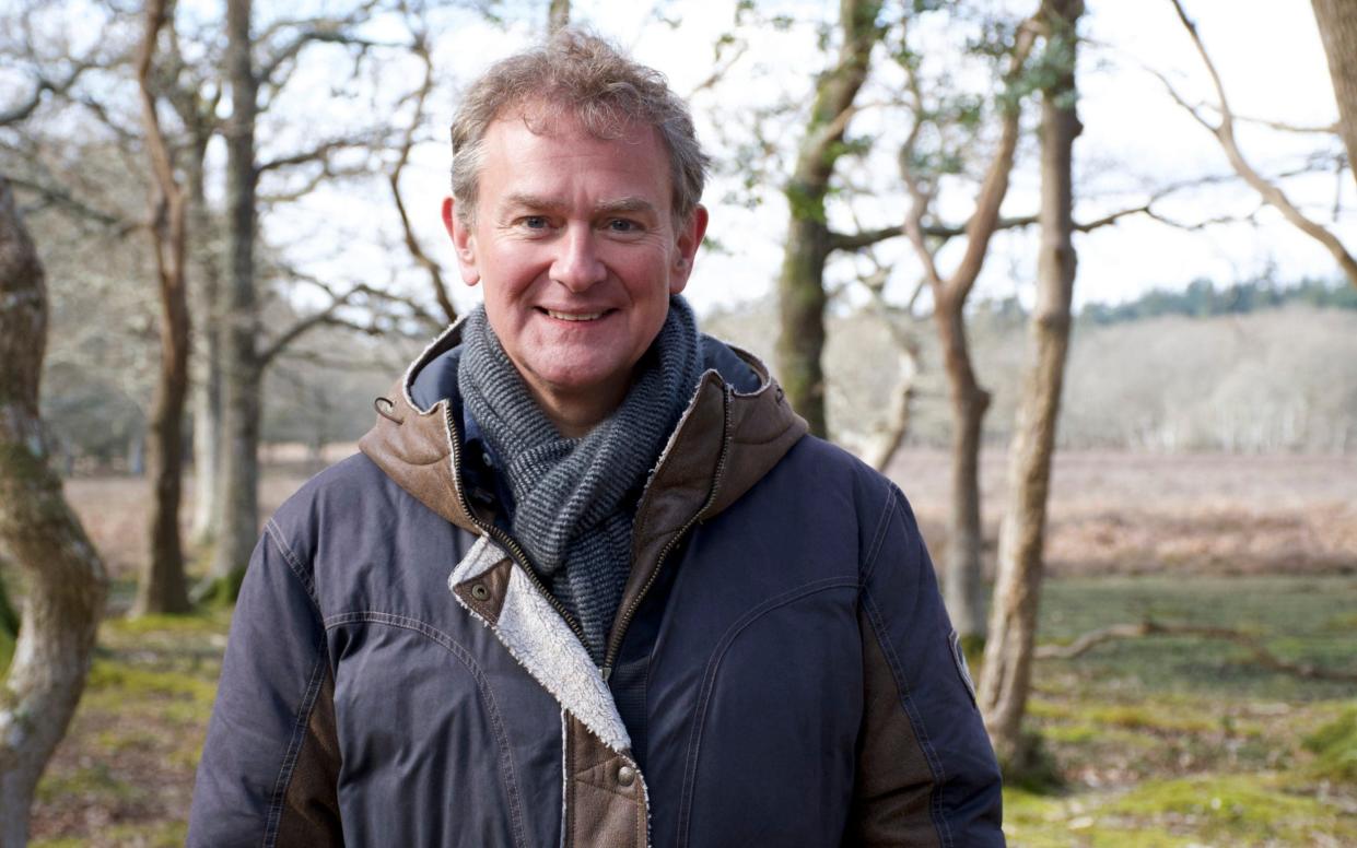 New Forest: The Crown's Hunting Ground hugh bonneville david attenborough - Big Wave Productions