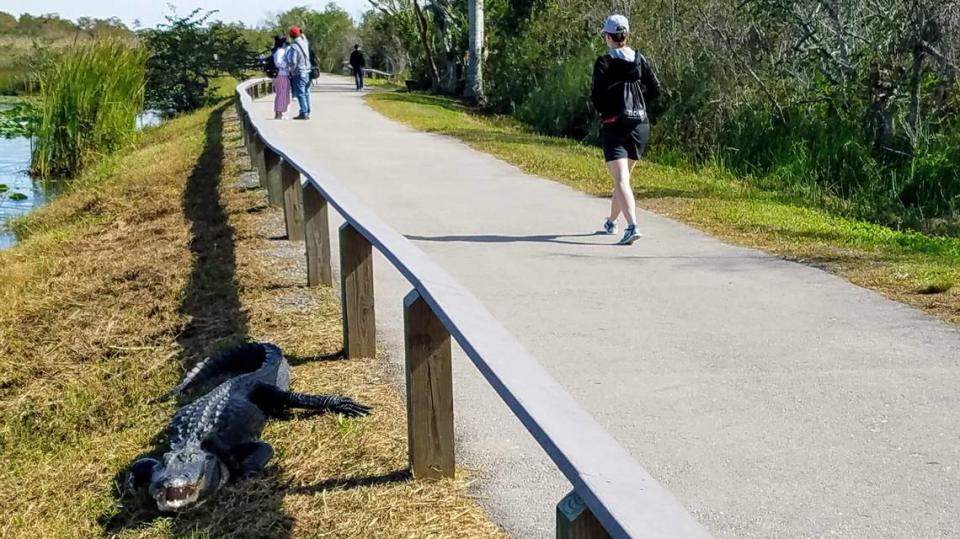 Parque Nacional de los Everglades