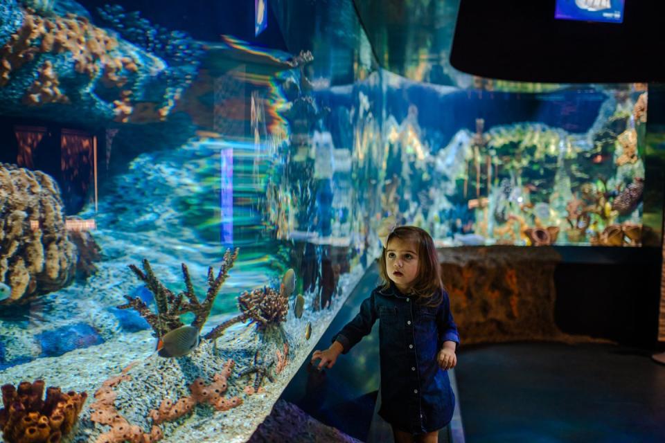 Young girl at the aquarium