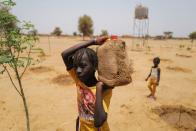 The Wider Image: Senegalese plant circular gardens in Green Wall defence against desert