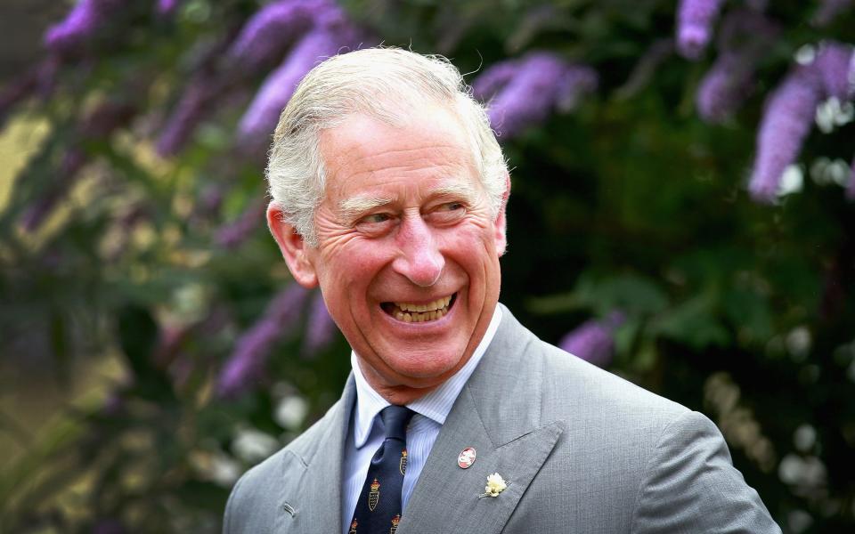 The Prince of Wales set up a meeting with chocolate companies to end deforestation - Credit: Chris Jackson