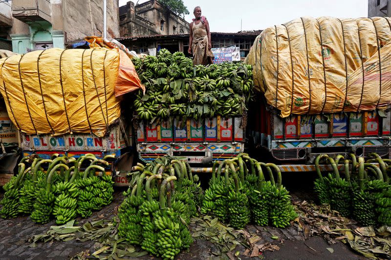 FILE PHOTO: A worker unloads raw bananas from a truck at a wholesale market in Kolkata