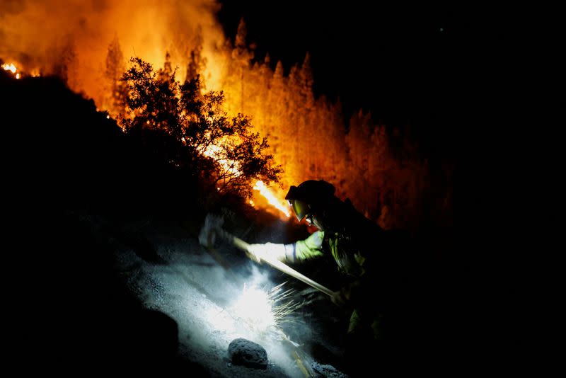 FILE PHOTO: EIRIF forest firefighters work during the extinction of the forest fire in Arafo on the island of Tenerife