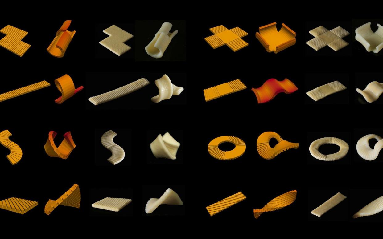 Flat-pack pasta has been created for the first time - SWNS