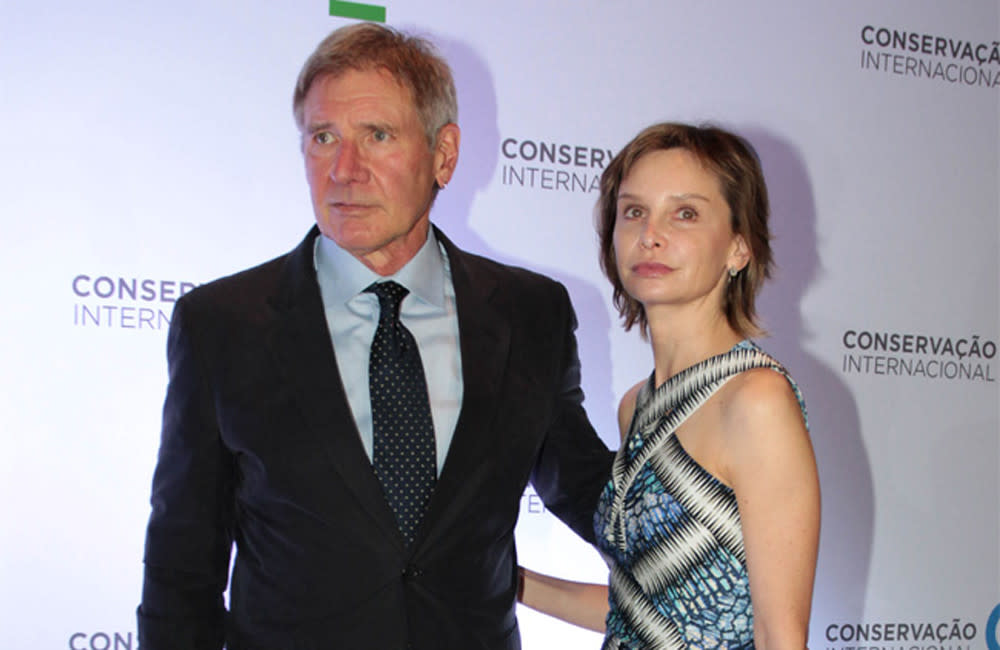 Harrison Ford and Calista Flockhart leaned on their foster dogs following his plane crash credit:Bang Showbiz