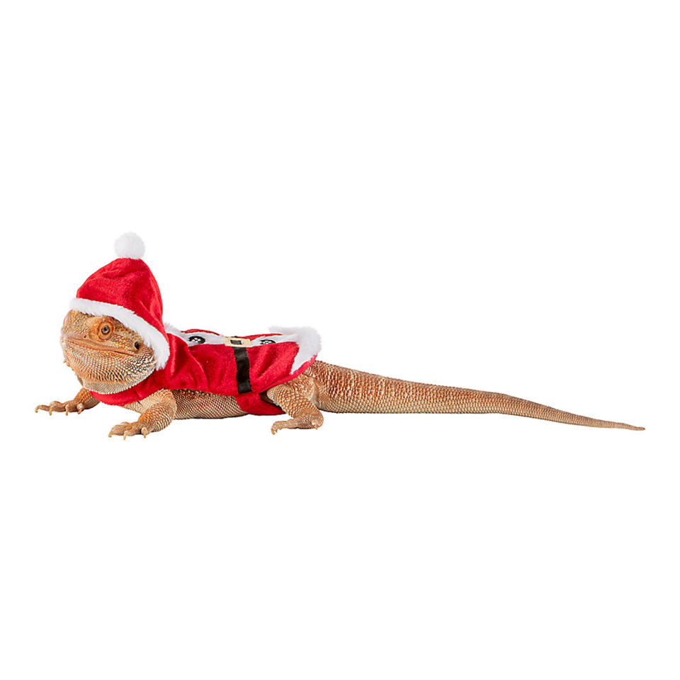 <p>Santa has never been smaller or sweeter! </p> <p><strong>Buy it!</strong> Santa Claus Reptile Costume, $4.99; <a href="https://petsmart.haujjd.net/c/249354/764629/11083?subId1=PEO15HolidayOutfitsforSmallPetsthatLetReptilesandGuineaPigsJointheFestiveFunkbender1271PetGal13032410202112I&u=https%3A%2F%2Fwww.petsmart.com%2Ffeatured-shops%2Fthe-gift-shop%2Fgifts-for-every-pet%2Freptile%2Fmerry-and-brightandtrade-santa-claus-reptile-costume-65962.html" rel="sponsored noopener" target="_blank" data-ylk="slk:PetSmart.com;elm:context_link;itc:0;sec:content-canvas" class="link ">PetSmart.com</a></p>