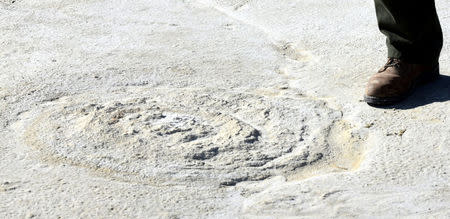 A mammoth footprint can be seen at White Sands National Monument in New Mexico. Supplied by Bournemouth University, Britain, April 25, 2018. David Bustos/National Park Service/Bournemouth University/Handout via REUTERS