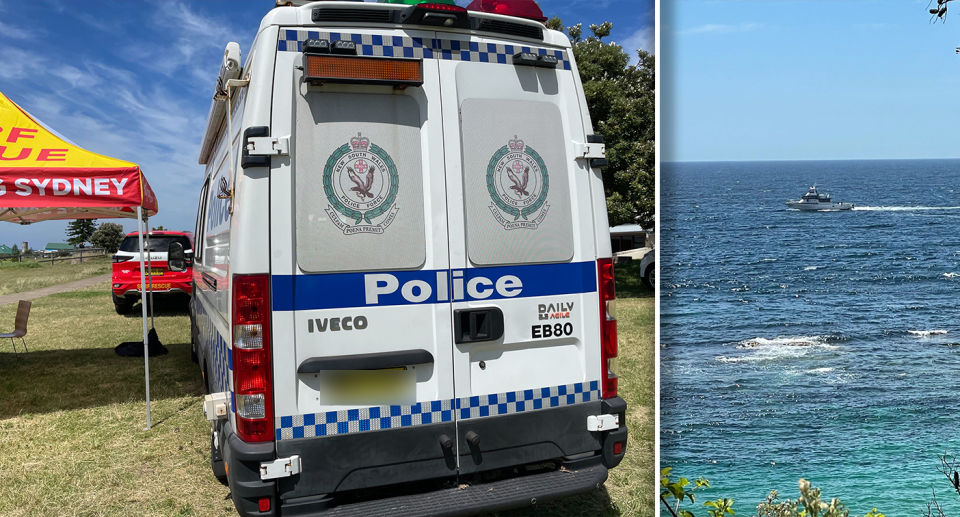 Authorities continued their search for human remains and the shark at Little Bay. Source: Michael Dahlstrom / Yahoo