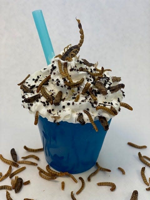 Arctic Bug Blast Slush is one of the new food options at the 2022 Wisconsin State Fair. It's a blue raspberry slush that's topped with whipped cream and a sprinkling of edible bugs and a Scorpion. It will be located at Exotic Meat Grill.