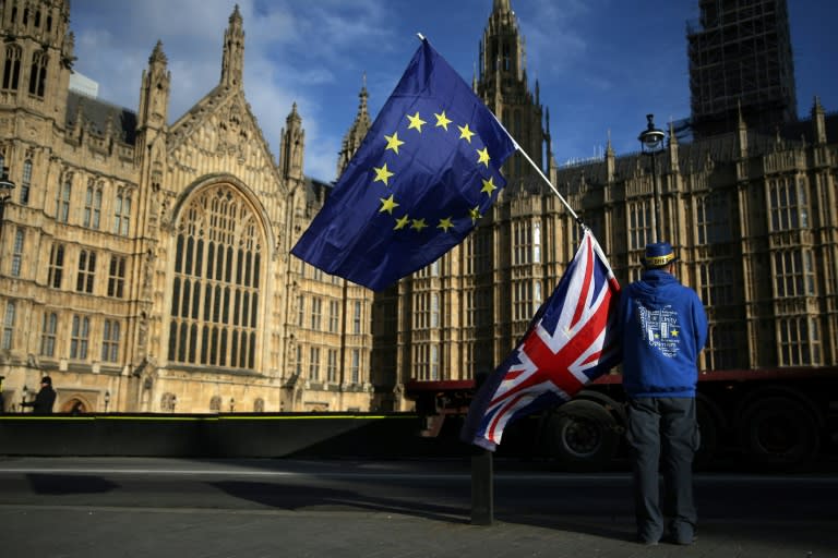 Pro-EU protesters have held frequent demonstrations against Brexit