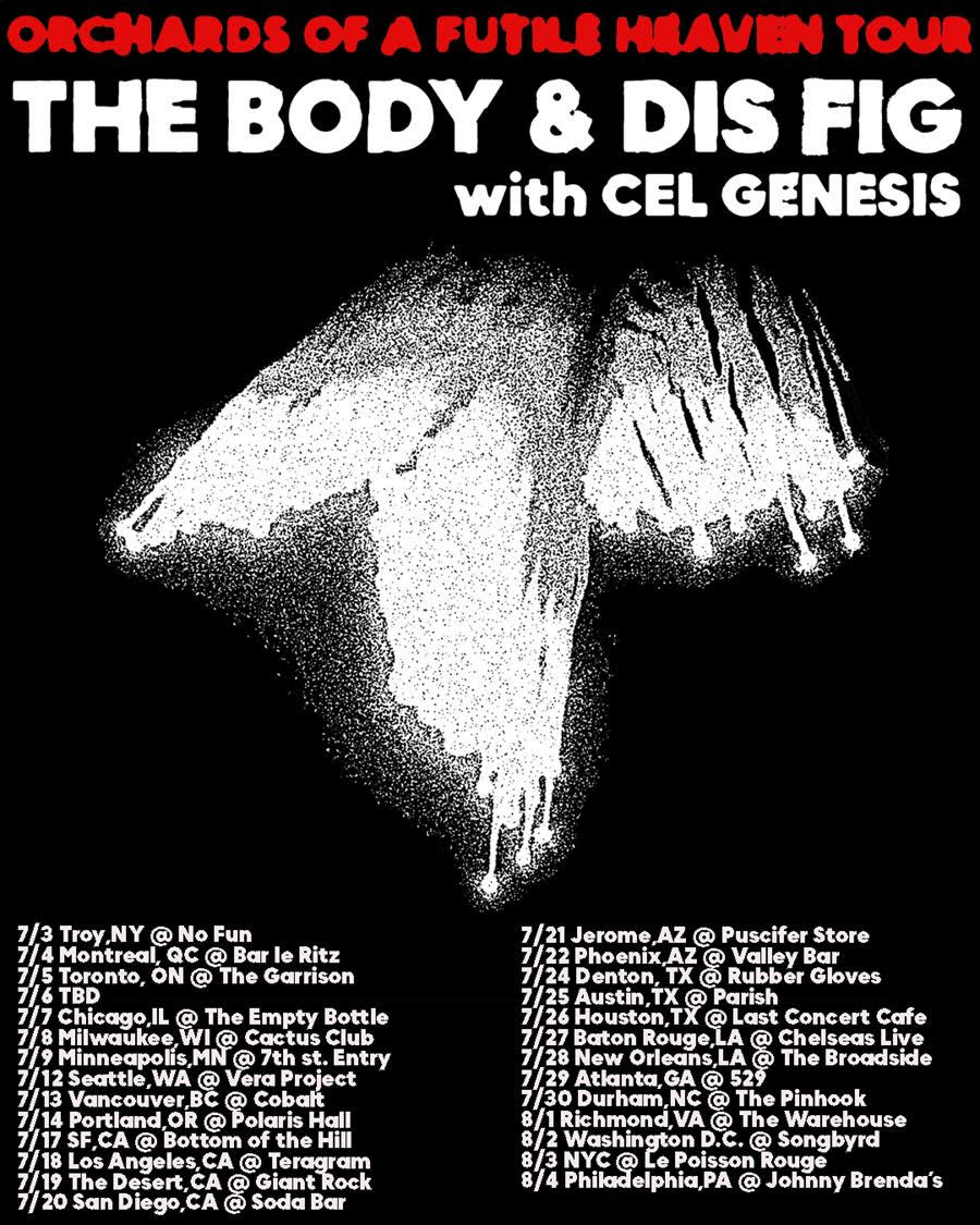 the body dis fig 2024 tour