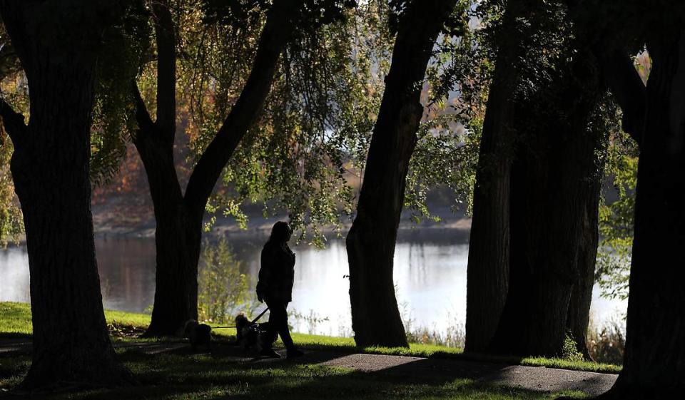 A woman walking a trio of leashed dogs is silhouetted against the Columbia River while walking on the shade tree covered pathway in Leslie Groves Park in north Richland. Bob Brawdy/bbrawdy@tricityherald.com