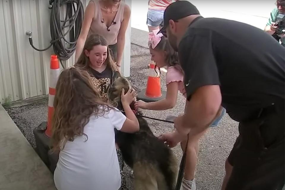 A dog that had been stolen in 2018 has reunited with his family