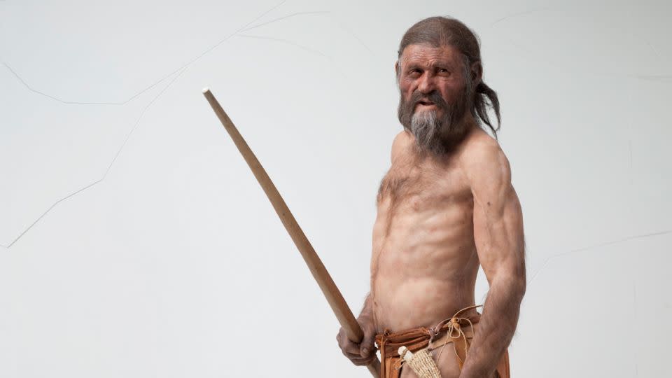 A reconstruction of Ötzi the Iceman is on display at the South Tyrol Museum of Archaeology. Based on his DNA, scientists now believe he had dark skin and eyes and may have been bald. - South Tyrol Museum of Archaeology/Ochsenreiter