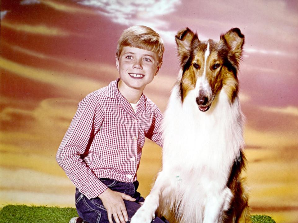 jon provost