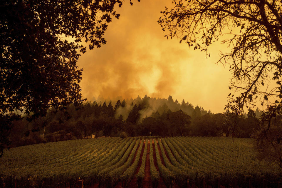 Smoke rises over a vineyard as the Glass Fire burns, Monday, September 28, 2020, in Calistoga, California. / Credit: Noah Berger/AP