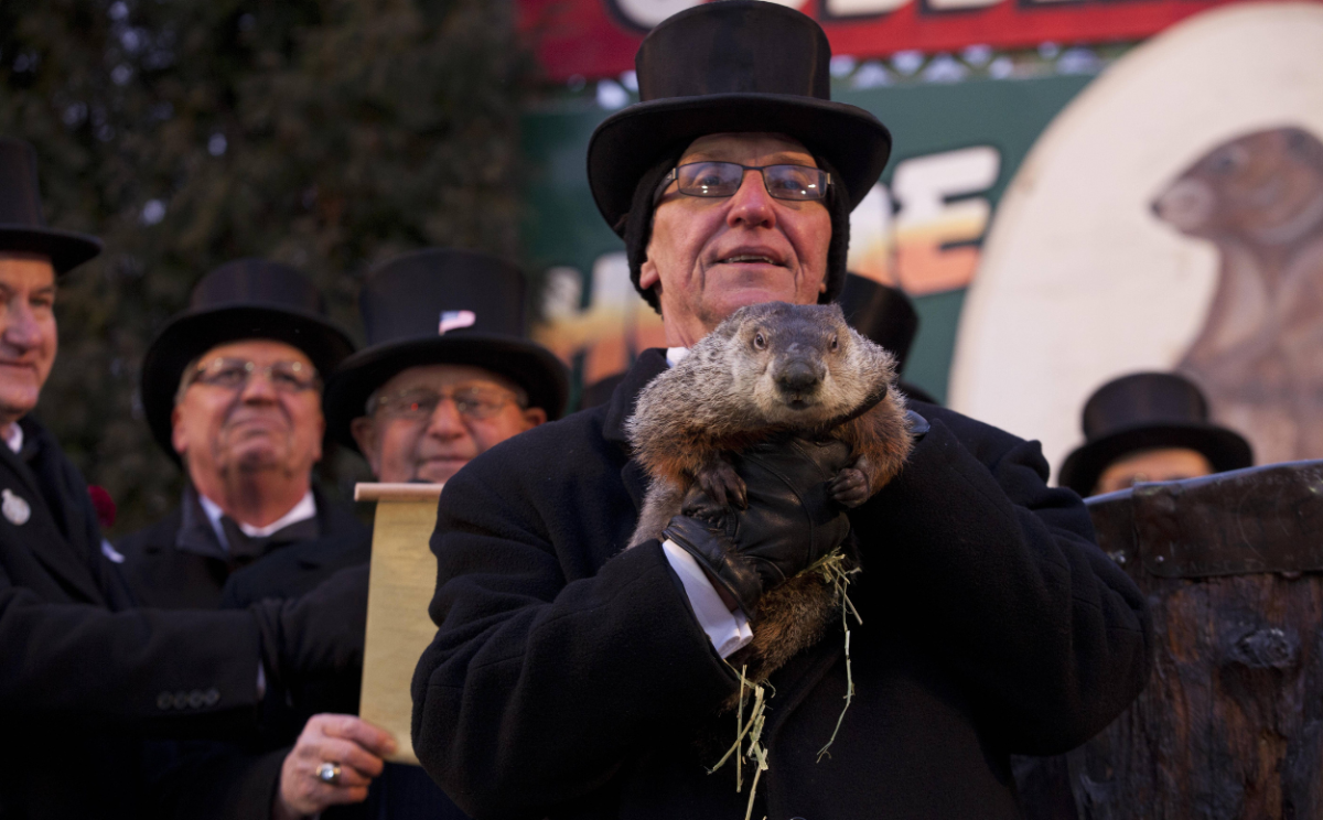 Punxsutawney Phil’s 2024 Groundhog Day Prediction Results in Series of