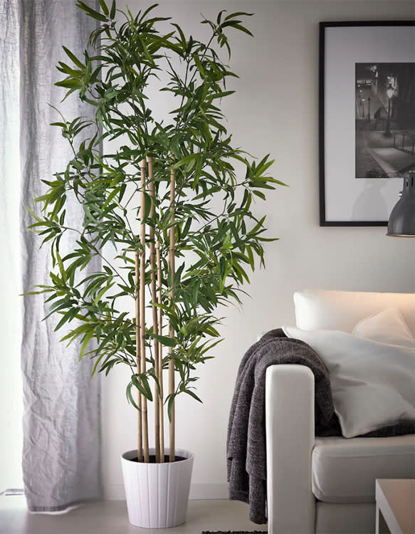Cinco plantas artificiales colgantes para decorar tu casa que parecen de  verdad, Estilo de vida, Escaparate