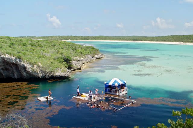 <p>Peacock</p> Dean's Blue Hole in the Bahamas