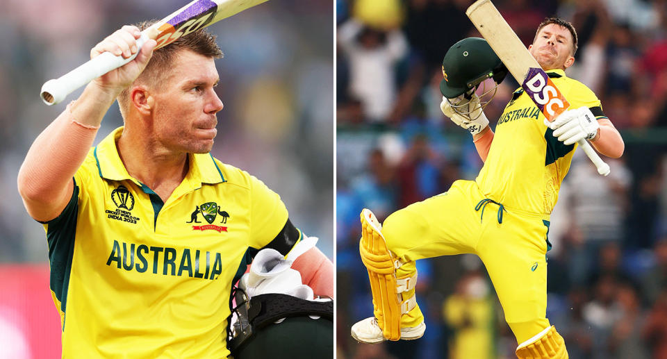 Seen here, Aussie cricket star David Warner has been included in Australia's T20 Cricket World Cup squad.