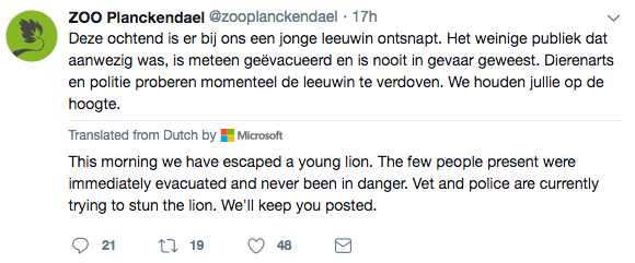 The zoo tweeted about the lion’s escape. Source: Planckendael Zoo/ Twitter