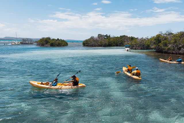 <p>Discover Puerto Rico</p>