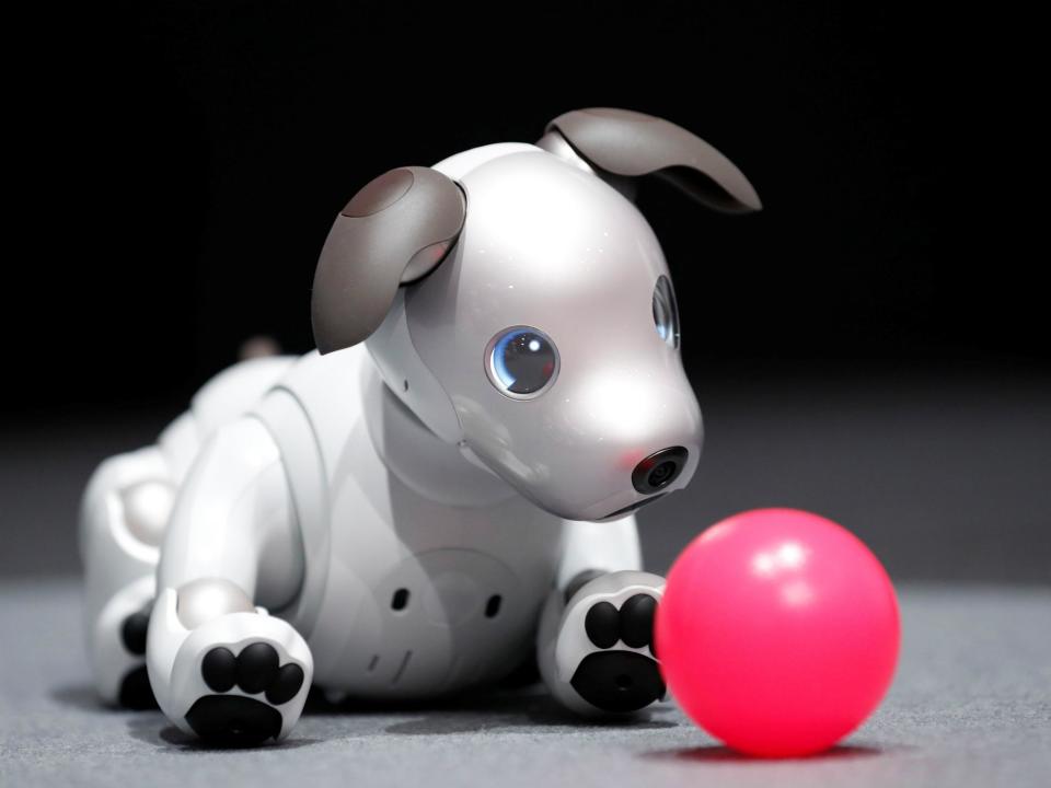 Sony Aibo: Robot dog can 'love' you and 'keep records of everything' it sees you do