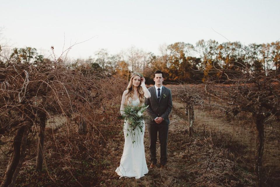 Windy Hills Vineyard In Tallahassee, Florida