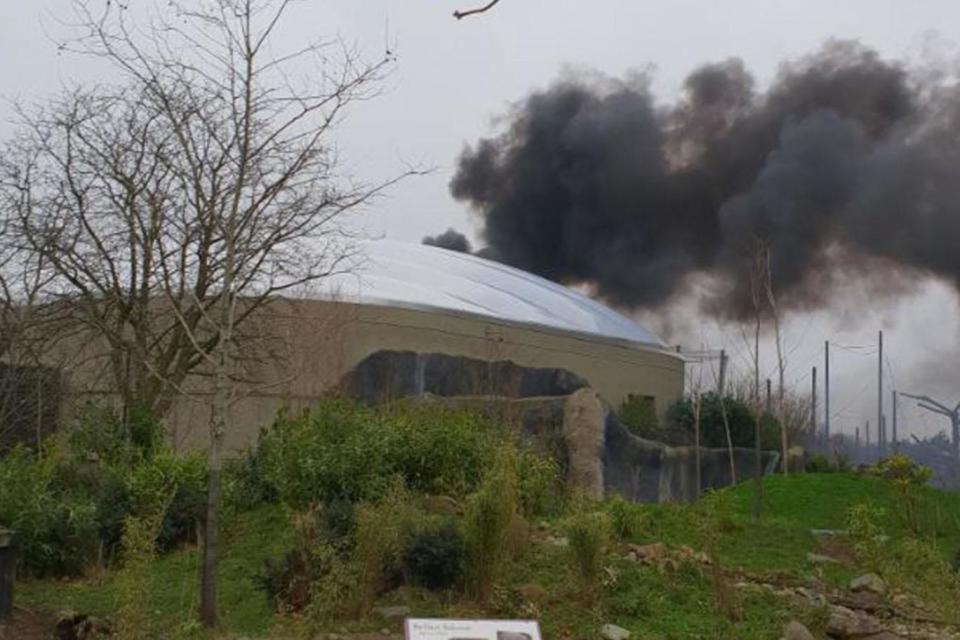 A huge fire has broken out in Chester Zoo (@andyl17)