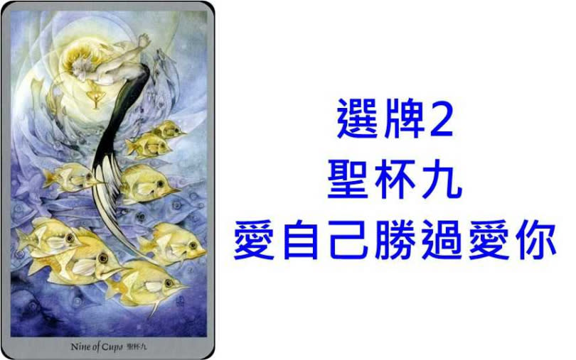 本次塔羅牌使用《幻影精靈塔羅Shadowscapes Tarot》商周出版。