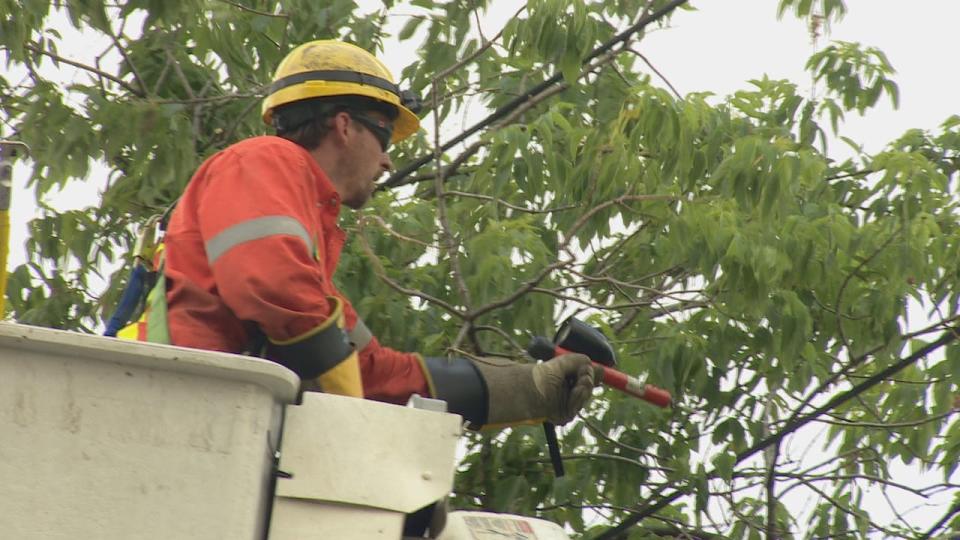 A Toronto Hydro worker repairs a power line in the city after high winds cause two major outages on Monday. 