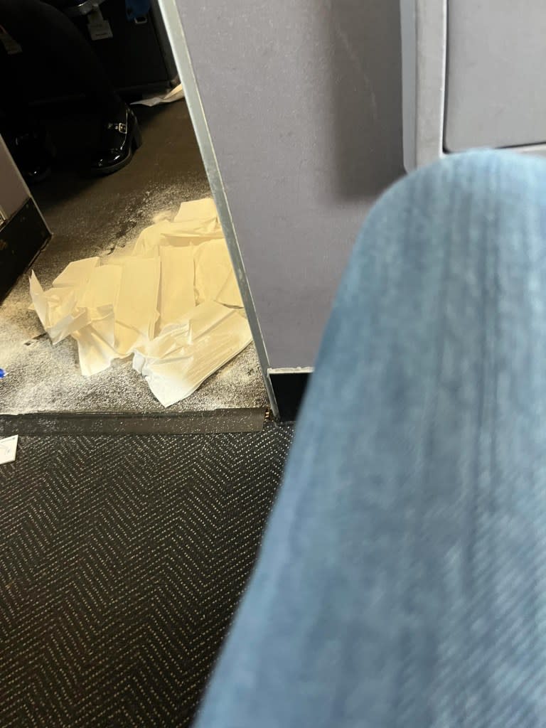A United Airlines flight bound for Seattle had to divert to Dallas on Friday — a Redditor blamed dog poop for the change in plans. Reddit/@gig_wizard