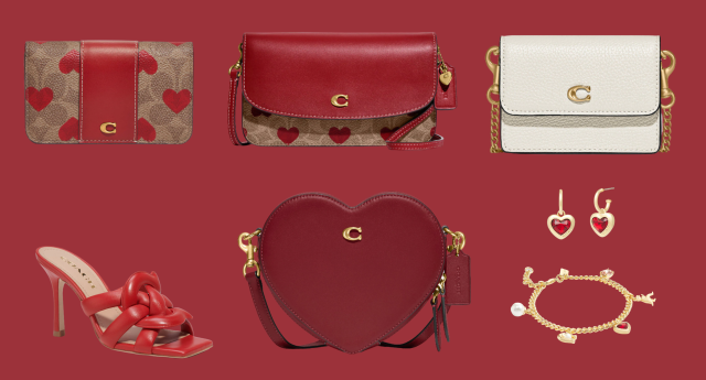 Coach's cute Valentine's Day collection just dropped: 11 bags, wallets &  more to shop