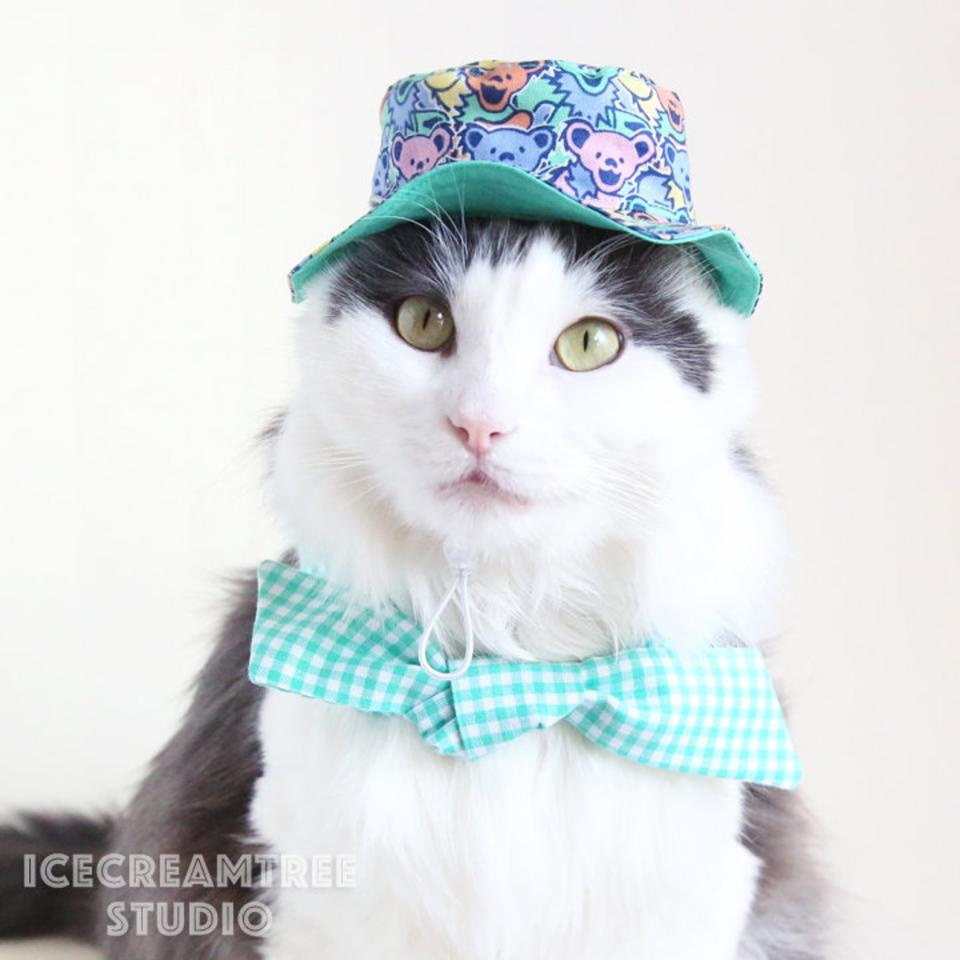 <p>Bucket hats aren't just for relaxing dads; they also look great on pet companions too. </p> <p><strong>Buy it!</strong> Reversible Dancing Bears Pet Bucket Hat, $20.00; <a href="https://www.awin1.com/cread.php?awinmid=6220&awinaffid=272513&clickref=PEO10FathersDayGiftsforCatandDogDadsWhoAreObsessedwithTheirPetskbender1271PetGal12773282202106I&p=https%3A%2F%2Fwww.etsy.com%2Flisting%2F966733668%2Freversible-dancing-bears-bucket-hat-pet" rel="sponsored noopener" target="_blank" data-ylk="slk:Etsy.com;elm:context_link;itc:0;sec:content-canvas" class="link ">Etsy.com</a></p>