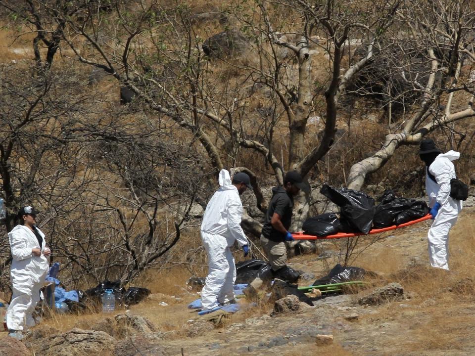 Forensic experts work with several bags of human remains extracted from the bottom of a ravine by a helicopter, which were abandoned at the Mirador Escondido community in Zapopan, Jalisco state, Mexico on May 31, 2023 (AFP via Getty Images)