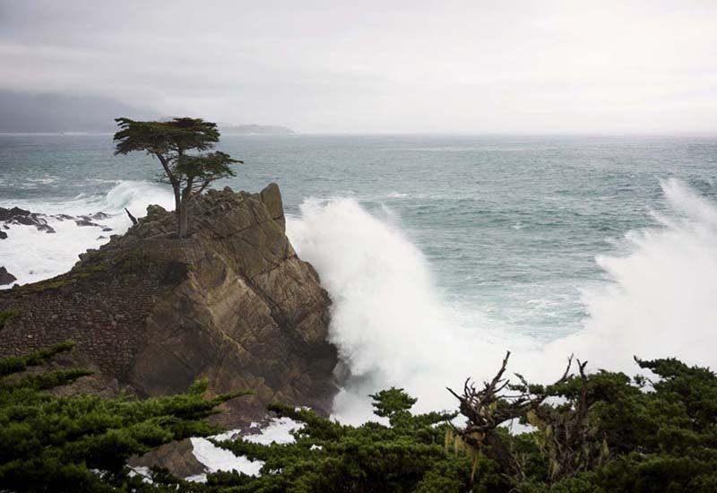 4. Shop till you drop in Carmel-By-The-Sea and take in the wild rocky coastline