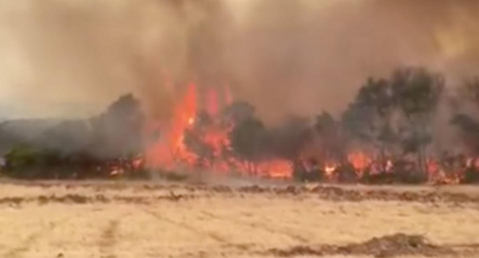 Relentless fires on Friday ripped through large parts of Kangaroo Island. Source: Facebook