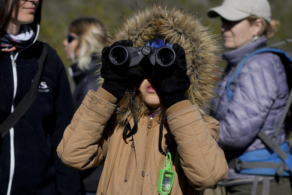 An observer uses binoculars to see Andean condors flying in the Sierra Paileman where the Andean Condor conservation program is located in the Rio Negro province of Argentina, Thursday, Oct. 13, 2022, the day before the release of two born in captivity almost three years prior. For 30 years the program has hatched chicks in captivity, rehabilitated others and freed them across South America. (AP Photo/Natacha Pisarenko)