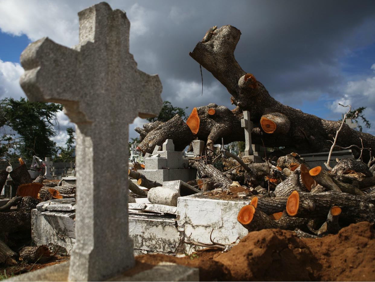 A tree toppled by Hurricane Maria rests over damaged graves in the Villa Palmeras cemetery on 23 December 2017 in San Juan, Puerto Rico: Getty