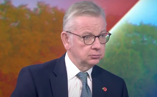 Michael Gove (Photo: Sky News)