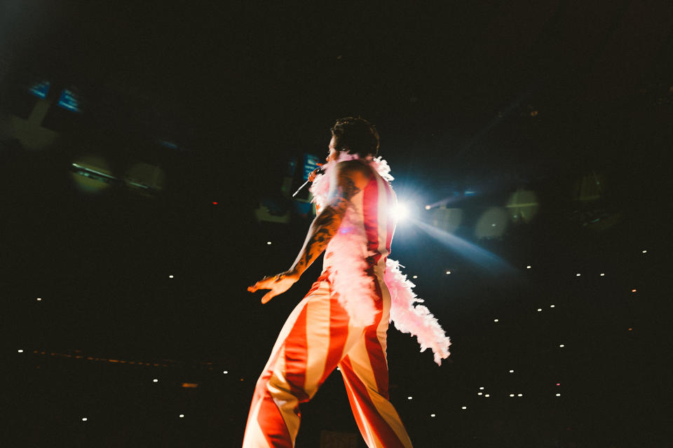 harry styles madison square garden