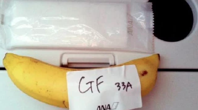 Plane passenger who asked for gluten-free meal receives banana