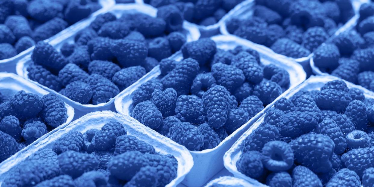 fresh raspberry on a market in paper box containers photographed at an angle from above, image monochrome toned color of the year beautiful blue background for design