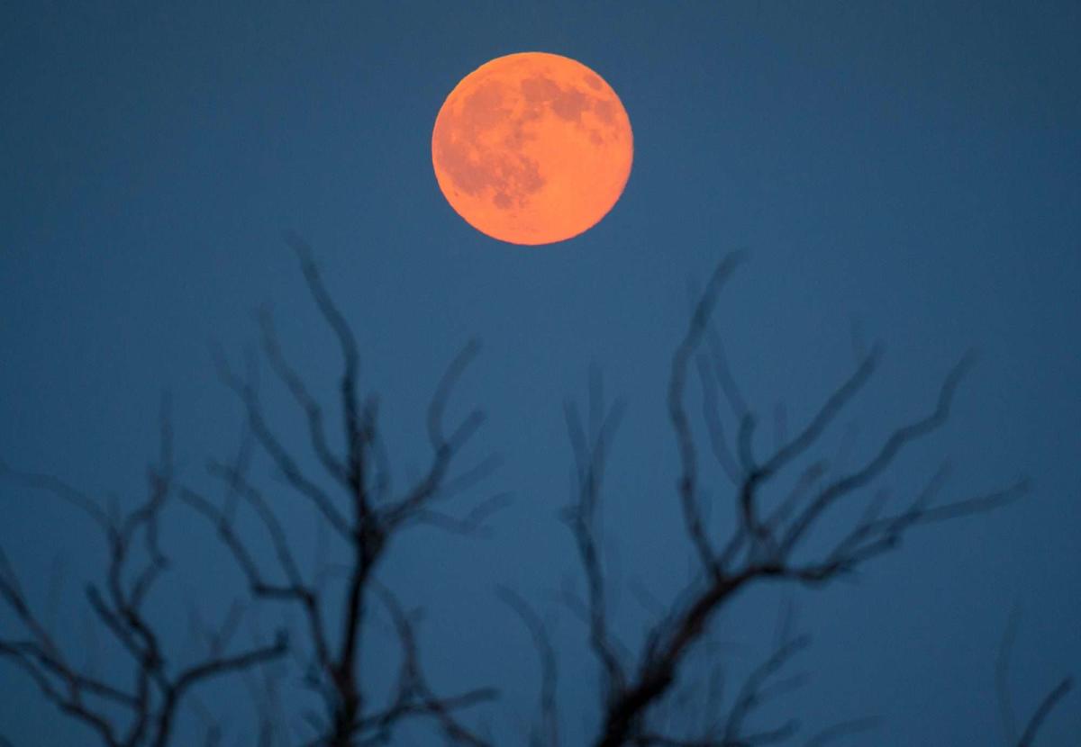 All About June's Strawberry Moon and What It Means for Your Zodiac Sign