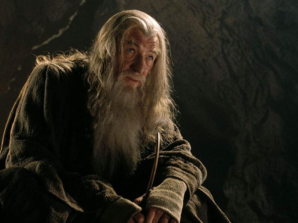 gandalf the fellowship of the ring