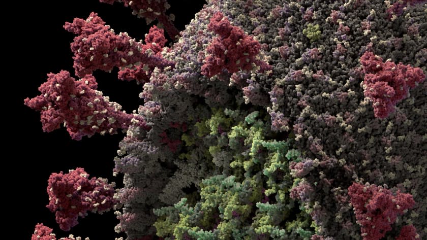 An atomic resolution 3-D model of the novel coronavirus, SARS-Cov-2.