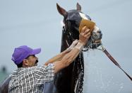 Groom Raul Rodriquez gives Kentucky Derby hopeful California Chrome a bath after a morning workout at Churchill Downs Wednesday, April 30, 2014, in Louisville, Ky. (AP Photo/Charlie Riedel)