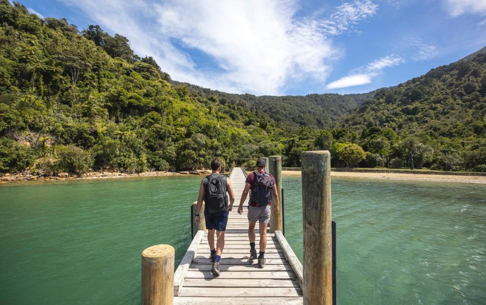 Queen Charlotte Track New Zealand