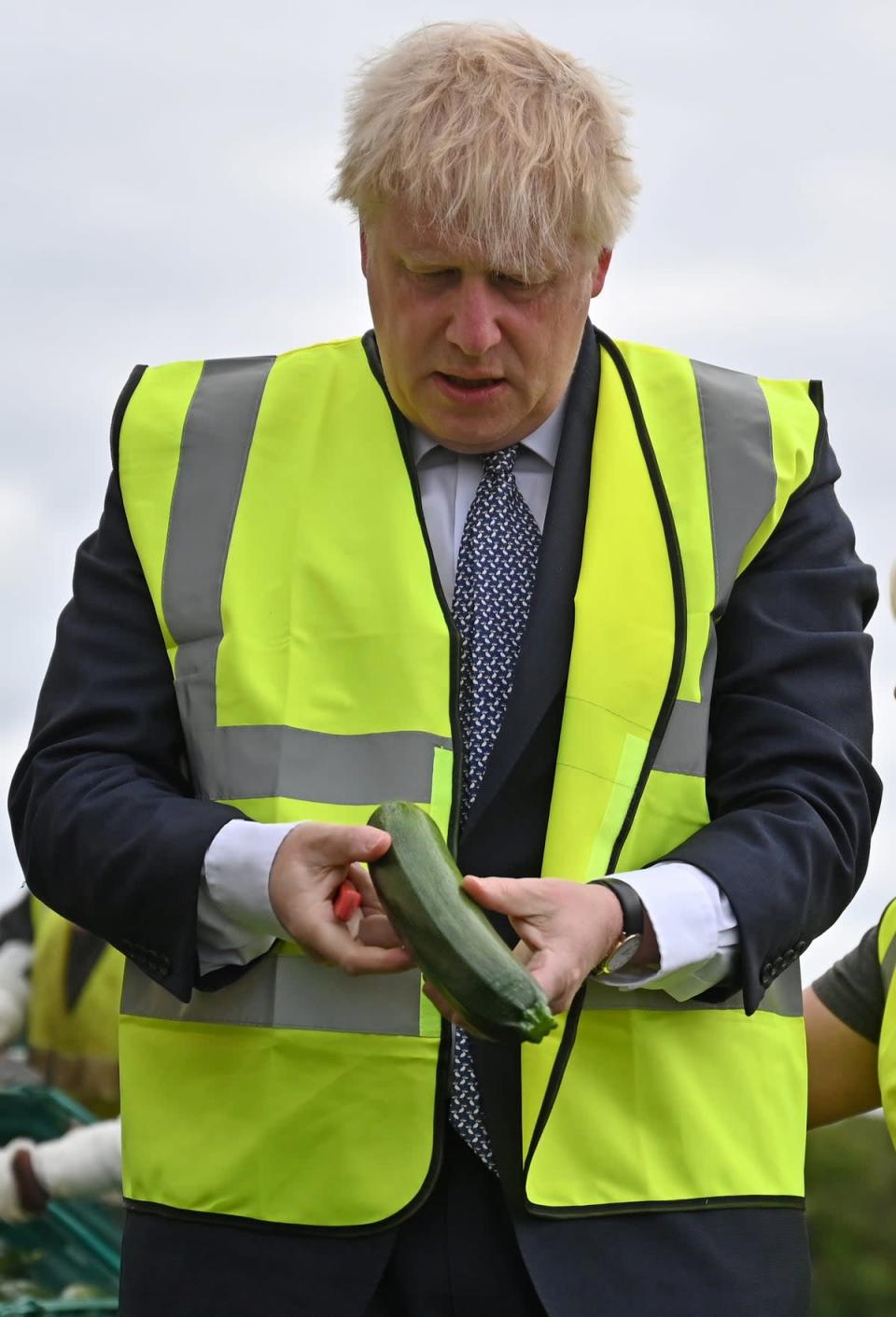 The Prime Minister inspects a courgette (Justin Tallis/PA) (PA Wire)