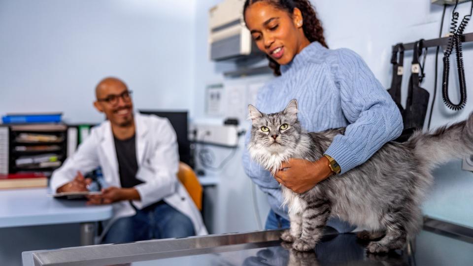 a woman holds her cat while consulting with a veterinarian